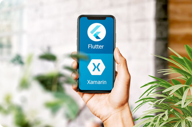 Service-Flutter-and-Xamarin-app-development