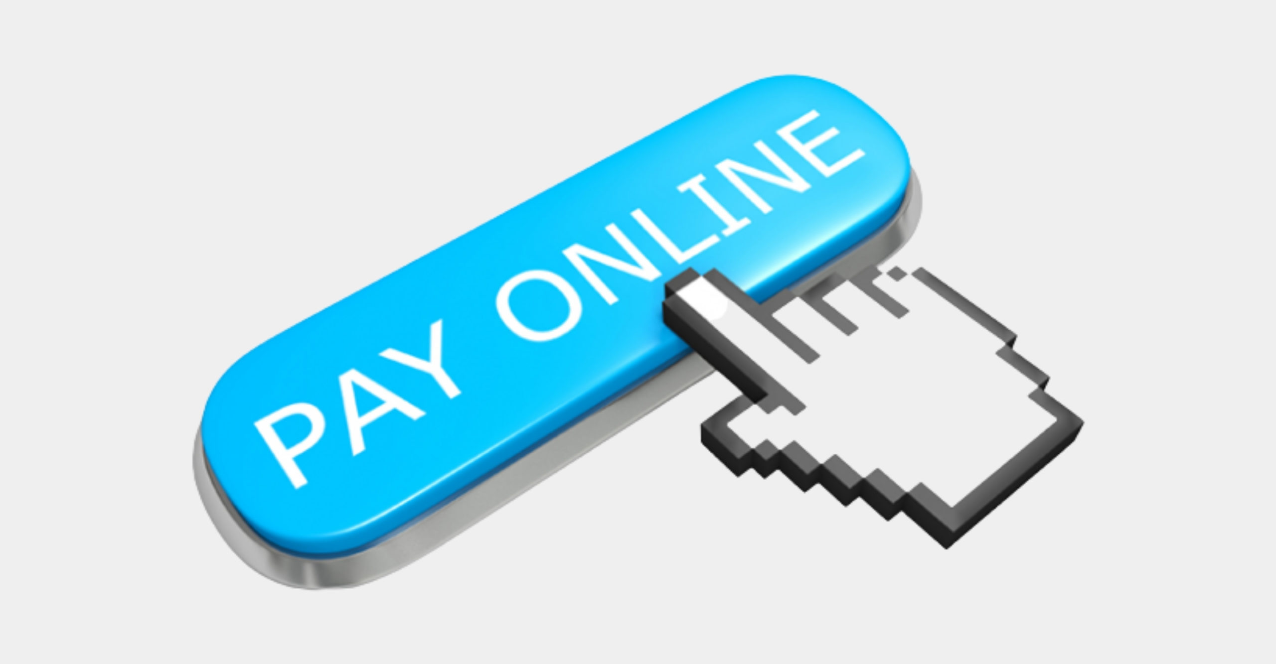 Online payment feature in marketing automation by Enlab Software